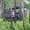 ECO-Tour Passes Through Woods