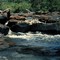 Cachivera en el río Apaporis
