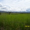 Via Neiva - Juncal