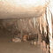 Cueva del tigre - Espeleología