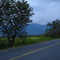 de Yaguara para Neiva