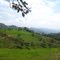 Cerros
