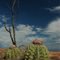 Desierto De La Tatacoa