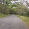 Via a Tello Huila