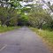 Via Tello Huila