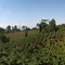 Campos de Colombia