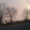 fog