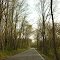 lower river road