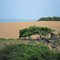 Medanos Puerto Estrella