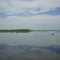 CIENAGA DE MALIBÙ