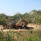 Finca Los Vallenatos