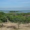 Puerto Seguro - Cienaga de Zarate