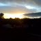 GANADO AL ATARDECER