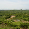 Bosques, finca La Piñuela (Plato, Magdalena)