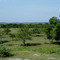 Finca Pensilvania, cienaga de Zarate