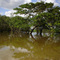 Ciénaga de Zarate (sector Puerto Seguro)