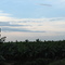 Zona Bananera - Magdalena - Colombia.