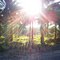 Dawn dans le domaine