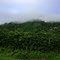 paraje  nubado  sierra  nevada  santa marta