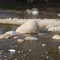Huevos de Dinosaurio segun GGM