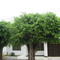 casa de hilda