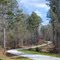 PATH through the Woods