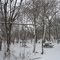 Winter picnic