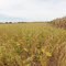 At the edge of the maze