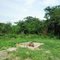 Campo 20