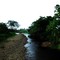 Caño Negro