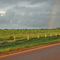 Arco Iris sobre cultivo de Caucho Hda Las Corocoras