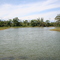 Laguna Artificial-Lindon