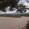 Rio Ariari desde el puente viejo el nuevo puente