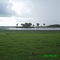 MORICHALES EN PUERTO ALICIA - PUERTO LOPEZ