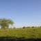 Finca Alonzo