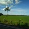 Llanos Meta