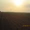 Tres Esquinas - AGROCOMETA -