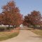 Fall, Conc. farm, Lexington, KY
