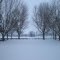 Snow, Lexington KY