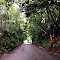 Via a Santa Rosa