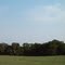 Panorámica Bosque de Galeria