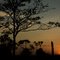 Atardecer LLanero