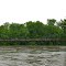 Swinging Bridge
