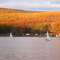 Sailboats in Autumn