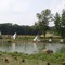 Lupa Zoo