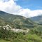 Sendero del Oso de Anteojos