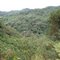 Sendero del Oso de Anteojos