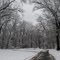 Suburban Snow