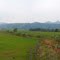 LLanos de Vista Hermosa Meta