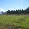 Panorámica del cementerio de Vistahermosa, Meta